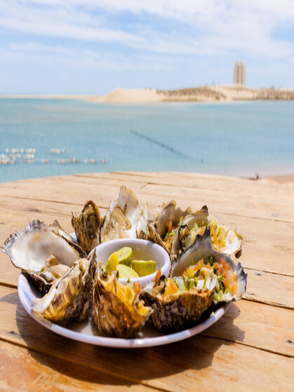 MSP_7223 1024x683 1 1