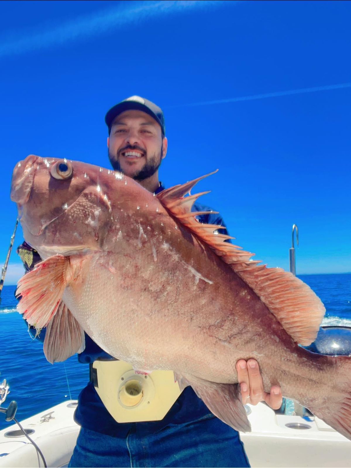 6ae27cb5 358e 41f6 9319 b94db5938ab8