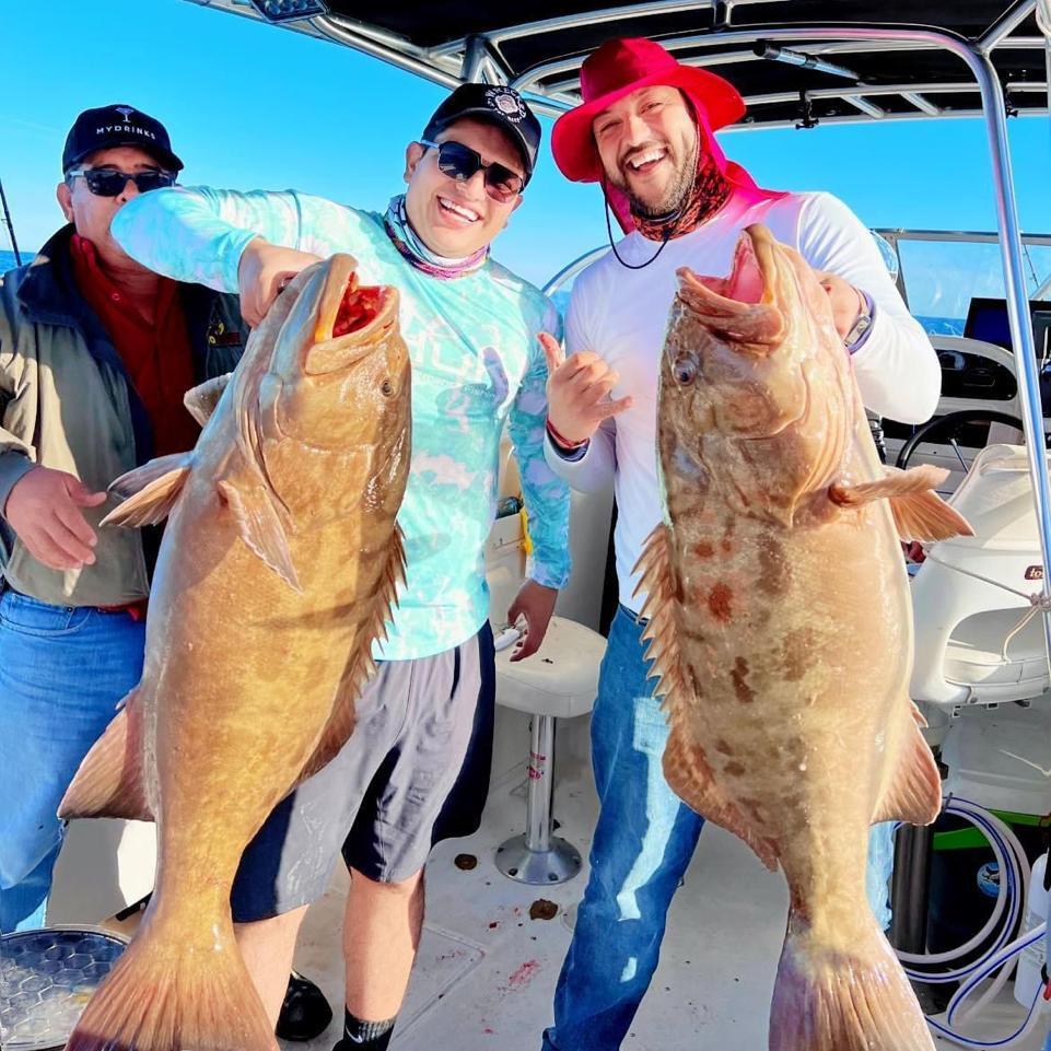 731775e4 0d60 4101 b8a4 042d66ed931d 1 1